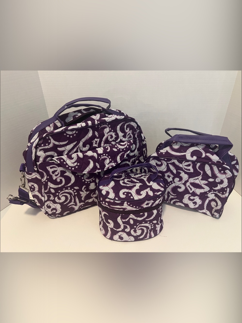 Woman Within Purple and White Travel Bag Set